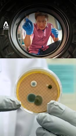 Why this washing machine had the highest yeast and mould count