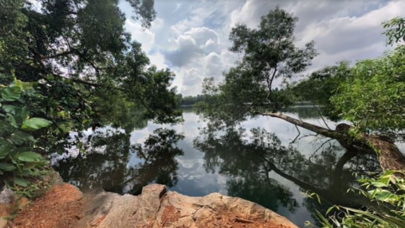 Operasi cari NSF SCDF hilang di Pulau Ubin ketika tidak bertugas diteruskan Operasi cari NSF SCDF hilang di Pulau Ubin ketika tidak bertugas diteruskan