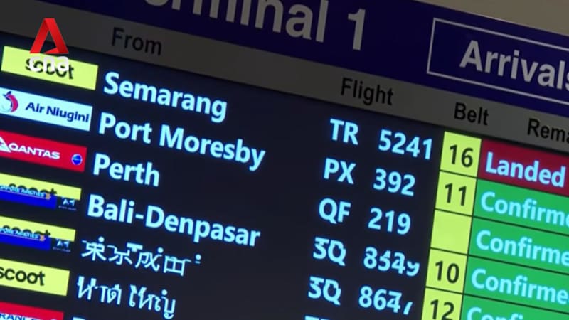 Indonesia volcano: Budget airline Scoot deploys relief flights for stranded passengers 