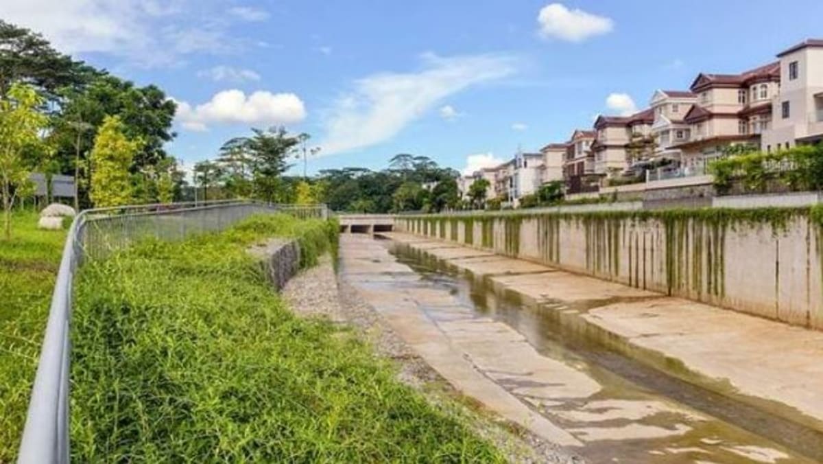 Man Dies After Being Rescued Unconscious from Bukit Timah Canal Man Dies After Being Rescued Unconscious from Bukit Timah Canal