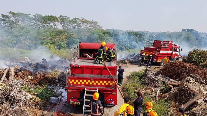 NParks developing forest fire detection and monitoring system for nature reserves