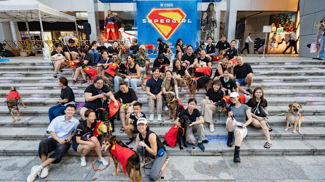 “Supergirl”6月24日全岛上映，25只狗狗披英雄斗篷萌翻全场！
