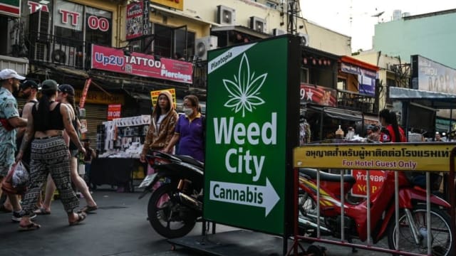 重新管制大麻含政治考量  泰相社德他争取保守派支持