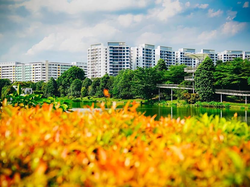 Freehold HDB flats: Here’s how it may work, with strings attached