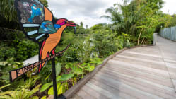 Related article image