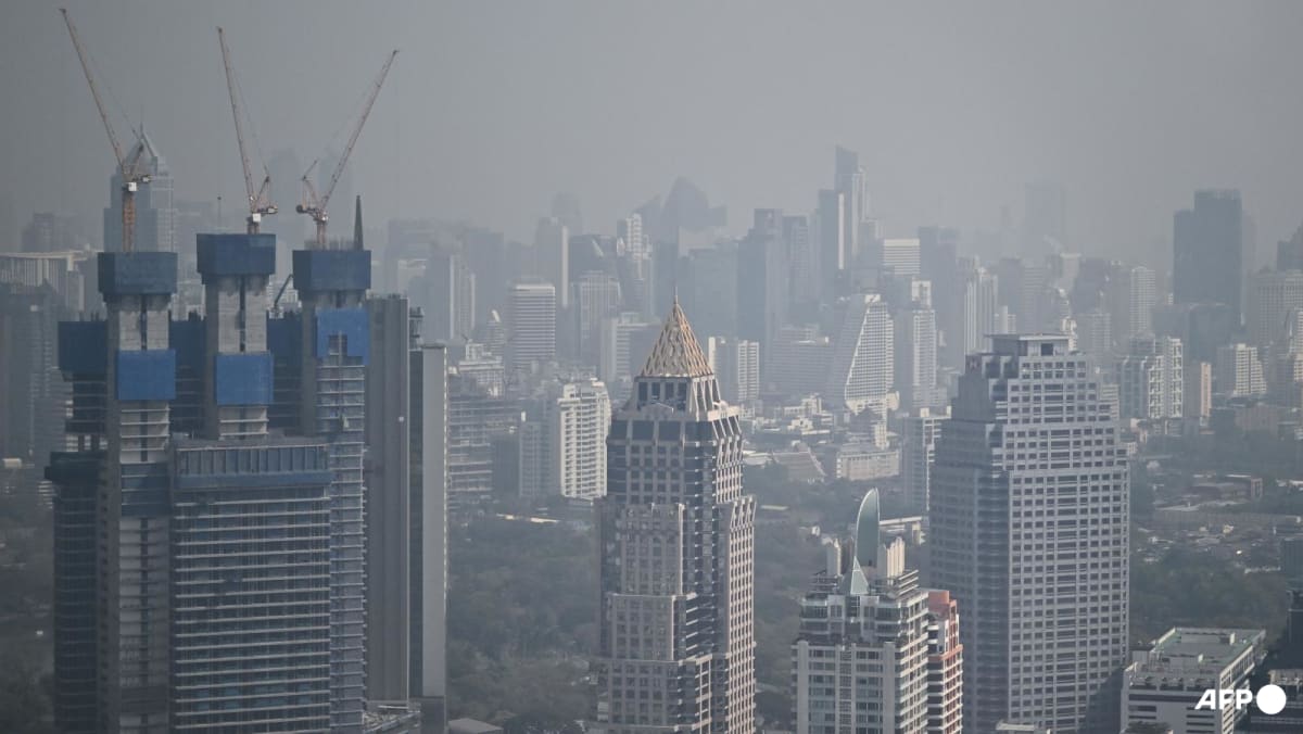 Thailand orders crop burning crackdown as pollution spikes Thailand orders crop burning crackdown as pollution spikes