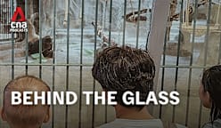 CNA Special - Bangkok’s Loneliest Gorilla: Global wildlife trafficking (Part 2)