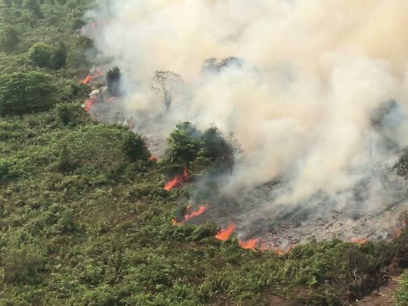 Commentary: Little smoke this haze season &ndash; but fires rage on in Indonesia