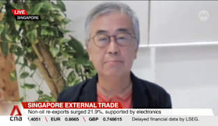 Key Singapore exports could see volatility due to conflict in Middle East: Analyst