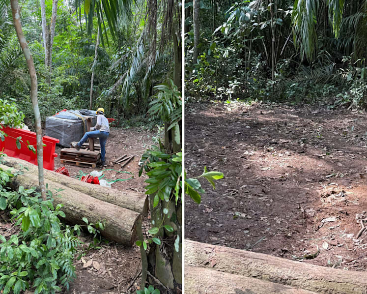 NParks investigating unauthorised clearance of trees at nature reserve planted under greening initiative