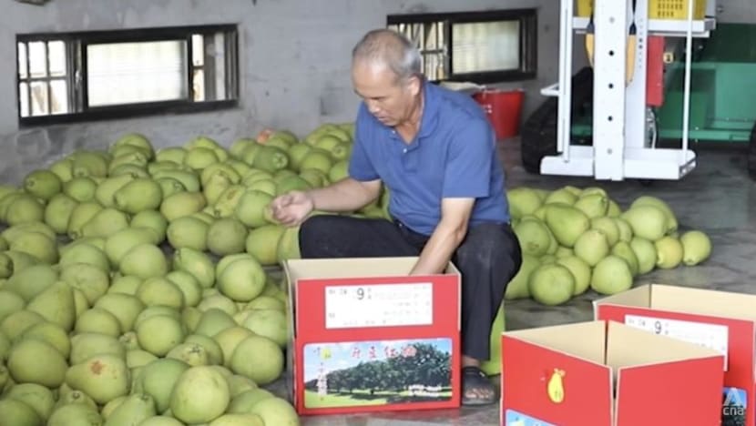 Pomelo shampoo and body lotion: Taiwan’s farmers find new ways to cope with China’s import ban Pomelo shampoo and body lotion: Taiwan’s farmers find new ways to cope with China’s import ban