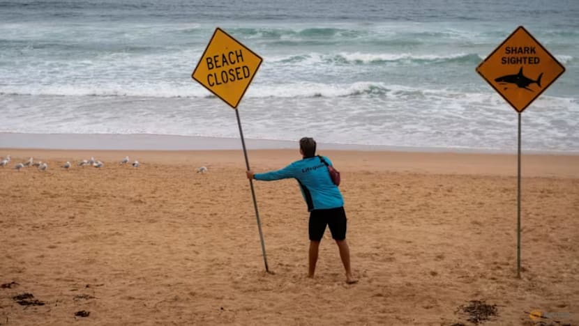 Pantai Sydney ditutup susuli 3 serangan jerung dalam 2 hari 