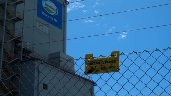 Meiji, Lactalis, Saputo, Warburg may bid in Fonterra's $2.4 billion sale, sources say - Channel News Asia (Picture 2)