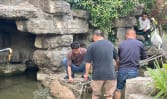 ‘Doubao, come home’: Chinese netizens react with amusement, concern over Jiangsu zoo’s runaway capybara