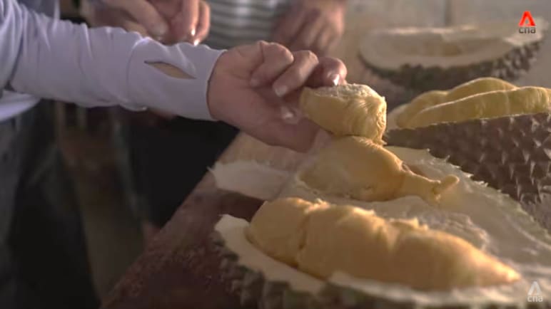 New thorns in town? Here’s why Tupai King, other new durian varieties may be mislabelled