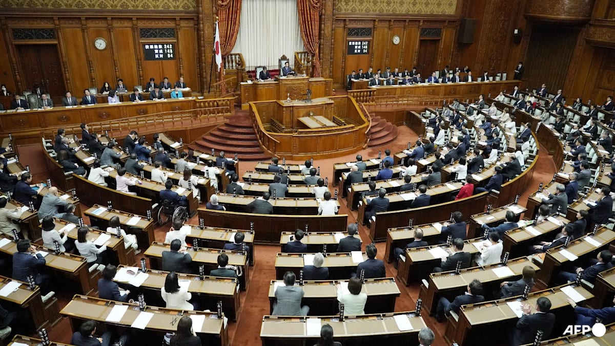 North Korea says record-high Japan defence budget would risk 'turmoil'