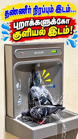 தண்ணீர் நிரப்பும்