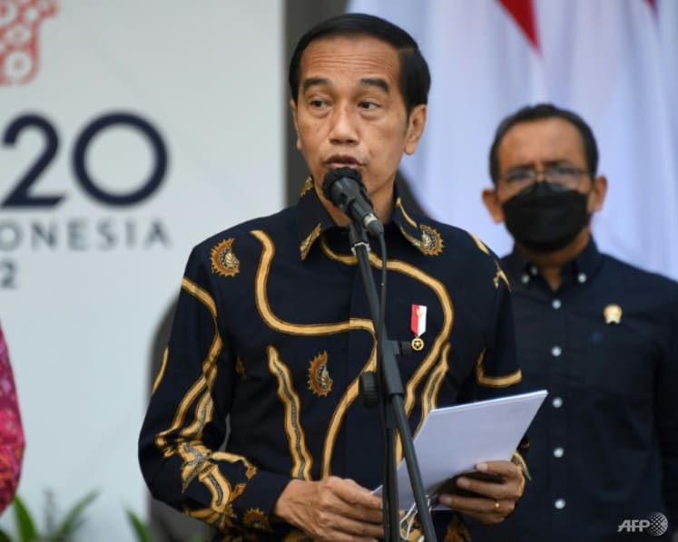 Indonesia's Jokowi to meet Xi Jinping during upcoming visit to Beijing