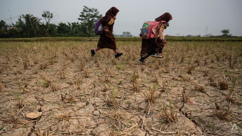 Kekeringan panjang, kelangkaan air bersih, dan gagal panen akibat El Nino ancam Indonesia