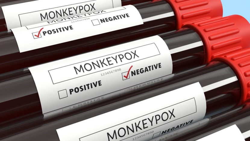Singapore reports 13th case of monkeypox infection since June Singapore reports 13th case of monkeypox infection since June