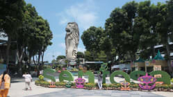 Related article image