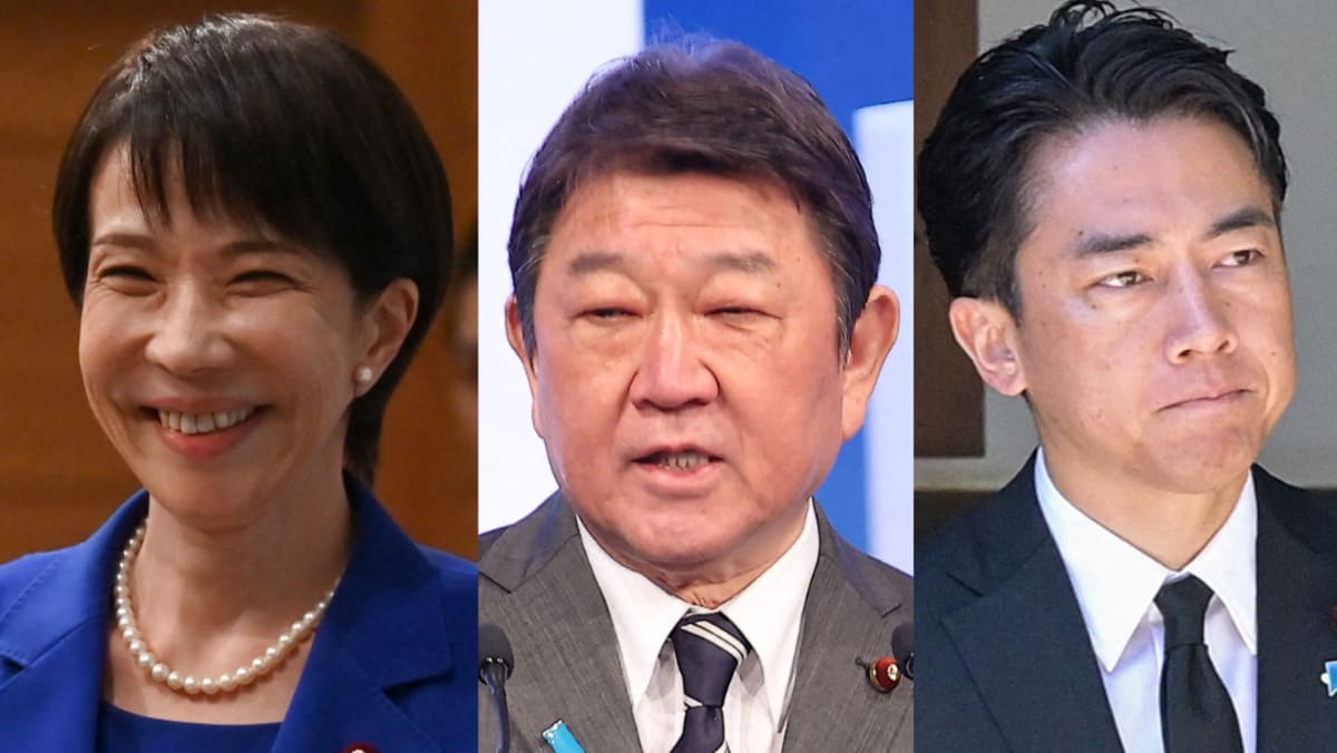 Japan ruling party leadership race kicks off