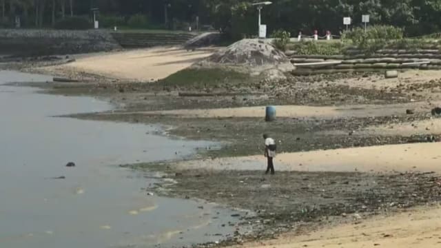 白沙公园海水肠球菌含量升高 娱乐中心生意大受影响