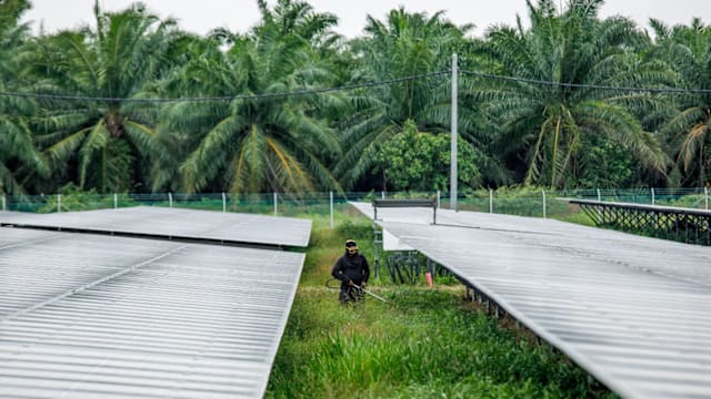 建数据中心部署太阳能 马国棕油业巨头重新找定位 