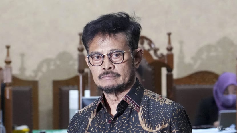 Indonesian ex-minister gets 10 years' jail for US$900,000 corruption, spending state funds on lavish personal expenses