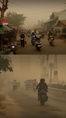 Haze thickens in Kalimantan as wildfires rage on