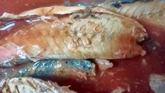 途经我国走私进新山 沙丁鱼罐头验出寄生虫
