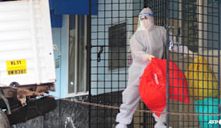 Nipah virus: Singapore closely monitoring global situation, prepared to adjust public health measures 