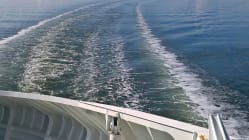 Related article image