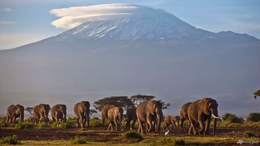 Lelaki SG maut ketika daki Gunung Kilimanjaro Lelaki SG maut ketika daki Gunung Kilimanjaro