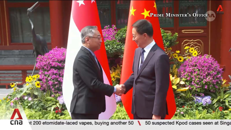 Singapore and China reaffirm strong bilateral ties as DPM Gan concludes five-day visit