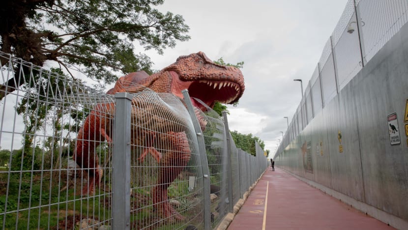 New 3.5km cycling, jogging path linking East Coast Park and Changi Airport launched