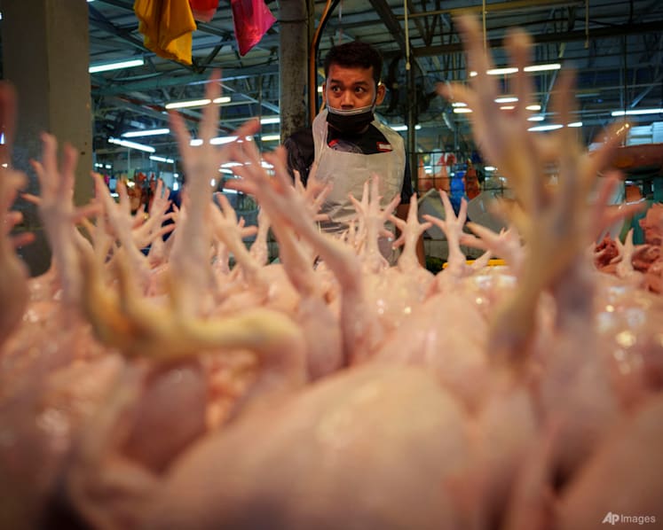Supply of chickens in Malaysia expected to stabilise from June, says agriculture minister