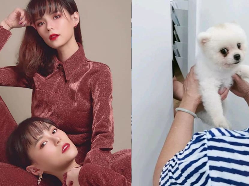 Jayley Woo&rsquo;s Dog Suffers From Asthma And Heart Problems; Vet Says It &ldquo;May Go Anytime&rdquo;