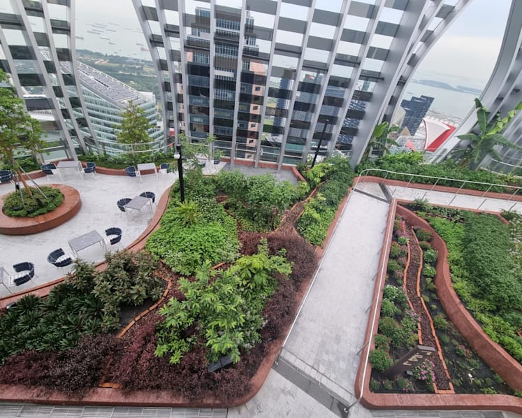 51 floors up in Singapore, the world’s highest urban farm produces surprises for its restaurants