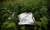 UN aviation body rules Russia downed Malaysia Airlines flight MH17