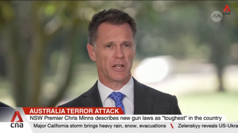 Australia's New South Wales passes tougher gun, anti-terror laws after Bondi Beach shooting