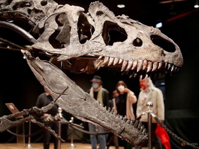 FILE PHOTO: Visitors look at the skeleton of an Allosaurus living in Wyoming more than 150 million years ago displayed at Drouot auction house in Paris, France, October 13, 2020. REUTERS/Charles Platiau/File Photo