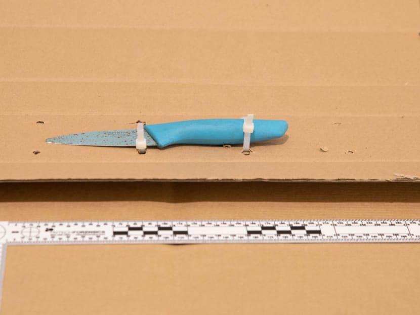 The knife purportedly used by the man during the incident in Yishun on Jan 9, 2023. The knife purportedly used by the man during the incident in Yishun on Jan 9, 2023.