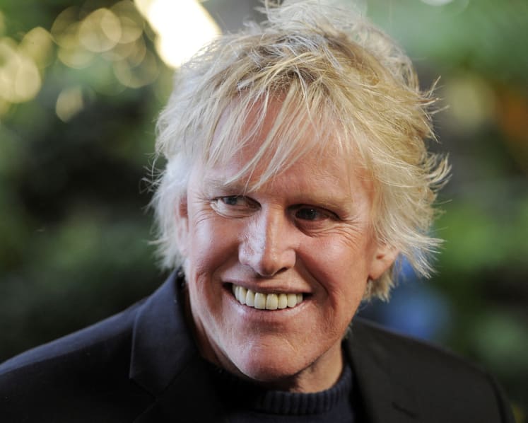 American actor Gary Busey pleads guilty to sex offence at horror convention