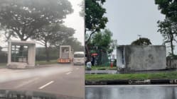 Gambar Pilihan Hari Ini