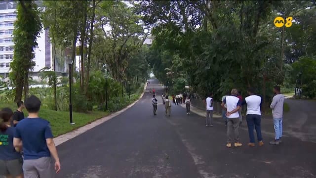 衔接榜鹅北道和榜鹅数码园区 榜鹅历史走道部分步道对外开放