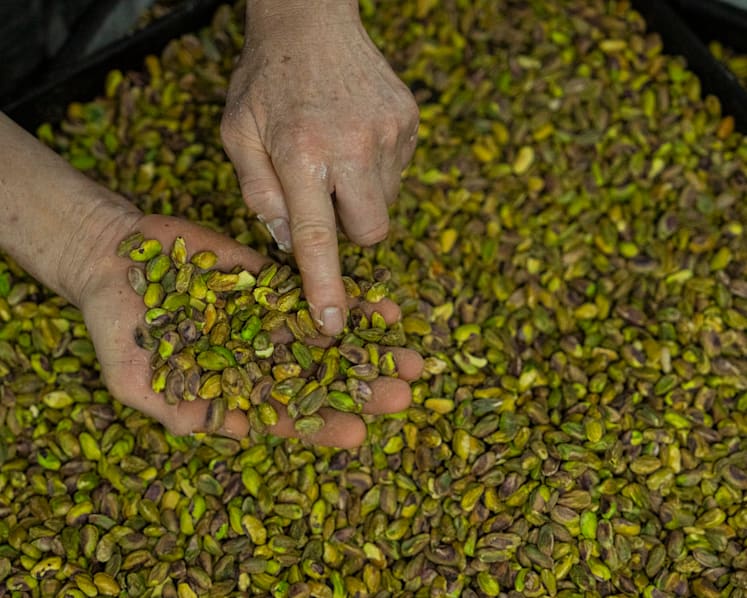 Commentary: Methanol, pistachios and cement - other Iranian exports choked by the war
