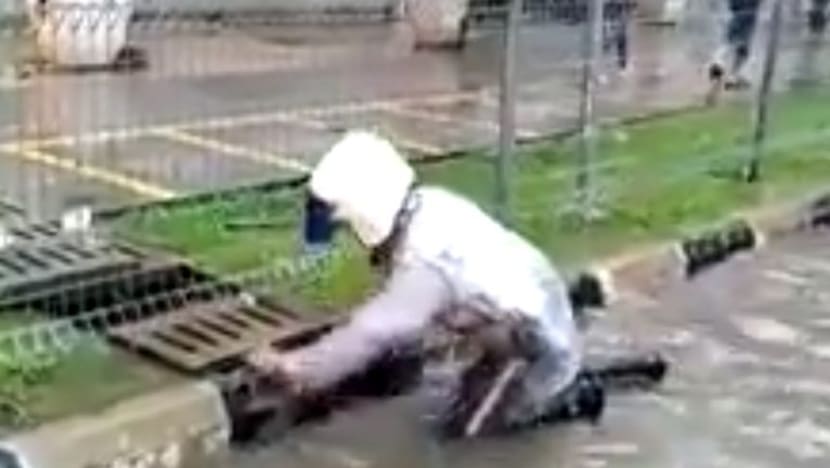 Gambar Pilihan Hari Ini