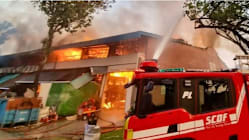 Related article image