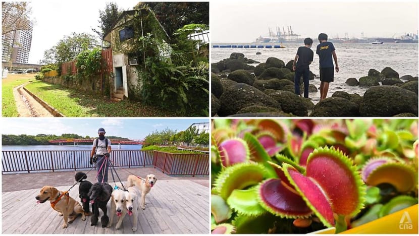 Up Your Alley: Punggol’s gleaming waterfront living steeped in rustic charm Up Your Alley: Punggol’s gleaming waterfront living steeped in rustic charm